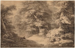 Un bosco di faggi con un viaggiatore che riposa da Christoph Nathe