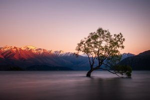 Lago del Crepuscolo, Albero Solitario da Christoph Schaarschmidt