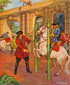Scuola di equitazione