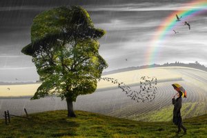 Pioggia surreale e speranza