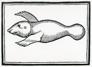 Un pesce chiamato 