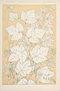 Foglie dalla Natura, 1868 da Christopher Dresser