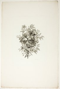 Bouquet con papaveri, da una raccolta di diversi mazzi di fiori, inventati e disegnati da Jean Pillement e incisi da P. C. Canot