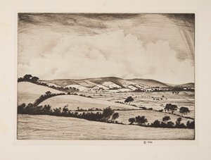 Una valle nel South Downs da Christopher Richard Wynne Nevinson