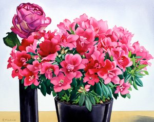 Azalea rosa da Christopher Ryland