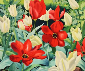 Tulipani precoci