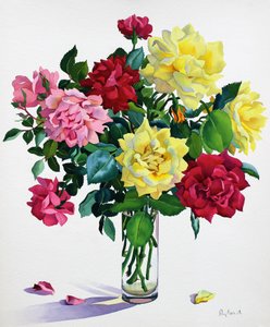 Rose di giugno