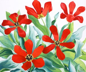 Madame Lefeber Tulipani da Christopher Ryland