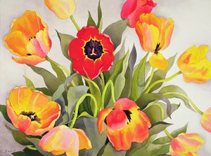 Tulipani arancioni e rossi da Christopher Ryland