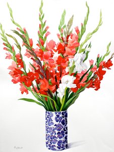 Gladioli rossi e bianchi