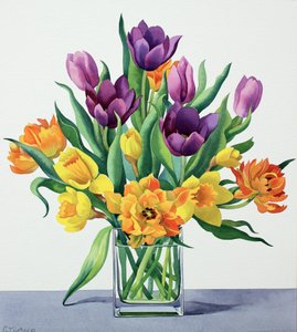Fiori di primavera da Christopher Ryland