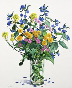 Fiori Selvatici con Alkanet, 2021