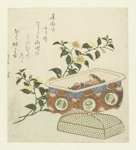 Rana e ramo di Kerria Japonica da Chôtei Hisazumi