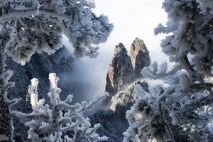 Maestose cime invernali
