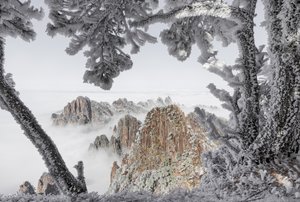 Cime invernali avvolte nella nebbia