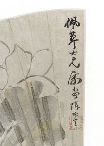 Fior di loto e foglie da Cining Zhang