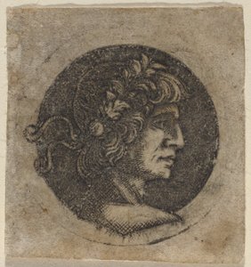 Testa di un imperatore romano da Circle of Francesco Francia