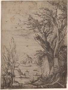 Paesaggio con alberi nodosi e pescatore da Circle of Jacques de Gheyn