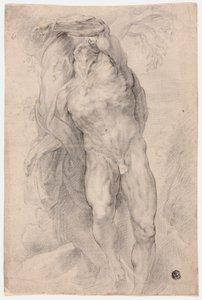 Nudo maschile legato a un albero da Circle of Peter Paul Rubens