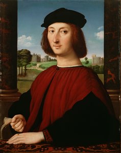 Ritratto di un giovane in rosso da Circle of Raphael