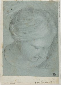 Testa femminile scolpita