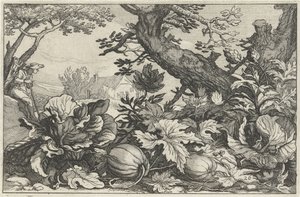 Paesaggio con zucche e cavoli