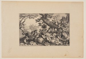 Albero e meloni, da Paesaggi (Verscheyden aerdige Lanthuysen...) da Claes Jansz. Visscher