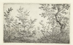 Radura nel bosco da Claes van Beresteyn
