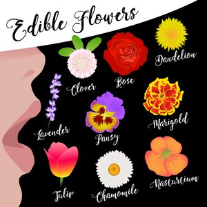 Fiori Commestibili da Claire Huntley