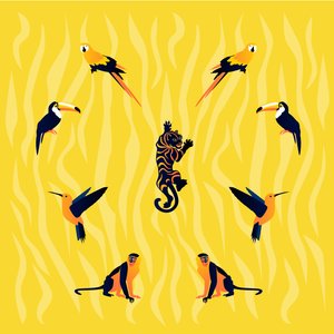 Animali giallo-nero da Claire Huntley