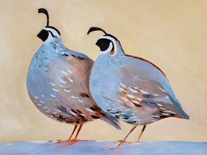 Affascinante coppia di quaglie da Claire Whitehead
