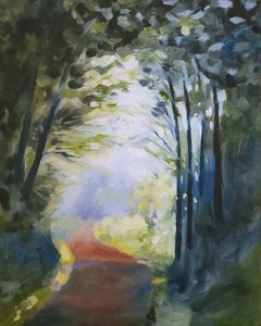 Sentiero nella foresta illuminato dal sole