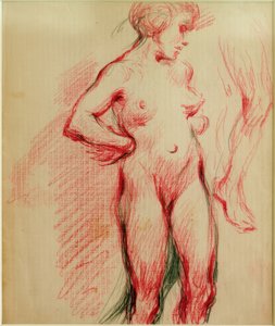 Nudo femminile in piedi