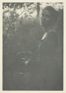 Margine del Bosco