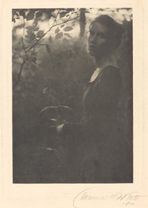 Bordo del bosco, sera