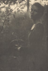Bordo del bosco, sera, 1900 da Clarence H White