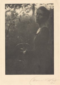 Ai margini del bosco, sera, 1900 (foto)