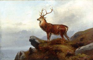In allerta da Clarence Roe