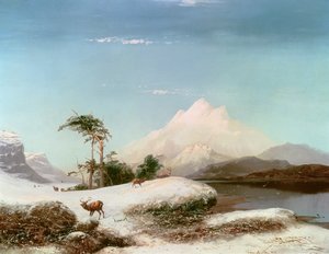 Highlands scozzesi, 1873