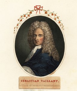 Ritratto di Sebastian Vaillant, botanico francese