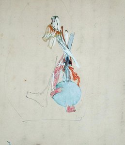Sistema nervoso nella testa di un gatto, 25 maggio 1842