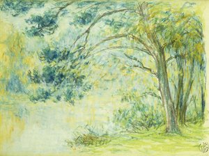 Paesaggio da Claude Emile Schuffenecker