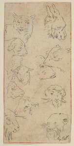 Studio di teste di animali, n.d. da Claude Gillot