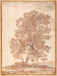Tre alberi da Claude Lorrain