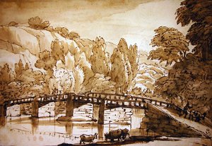 Paesaggio boscoso