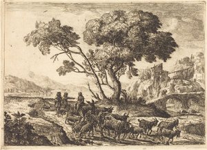 Partenza per i Campi