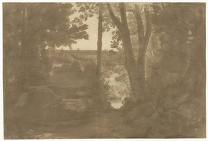 Paesaggio con vista tra gli alberi