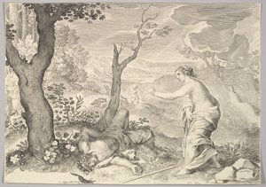 Morte di Adone da Claude Mellan