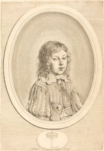 Luigi XIV da Ragazzo