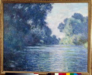 Braccio della Senna vicino a Giverny
